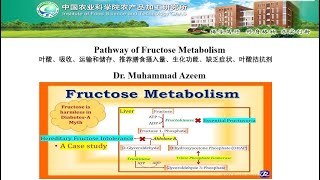 Pathway of Fructose Metabolism [upl. by Neelyahs713]