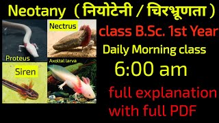 Neotany in Hindi bsc first year Happybiologyclass [upl. by Britteny]