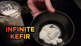 How to make KEFIR every day WITHOUT GRAINS  from store bought milk  asmr [upl. by Nirrat]