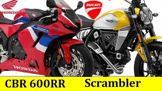 Honda CBR600RR vs Ducati Scrambler  Compare Ducati Scrambler And Honda CBR600RR  2024 [upl. by Phox]