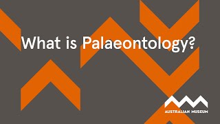 What is Palaeontology [upl. by Barbuto119]