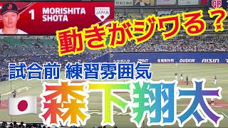 【ジワる⁉️】 侍ジャパン 阪神 森下翔太 選手 練習雰囲気 打撃練習 まとめ バンテリンドームナゴヤ 241110 [upl. by Gillmore]