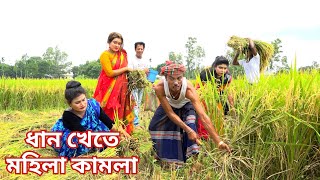 তাঁরছেরা ভাদাইমার অস্থির হাসির কৌতুক ধান খেতে মহিলা কামলা  Dhan Kata Mohila Kamla vadaimacomedy [upl. by Suirrad]