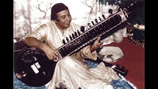 Ustad Imrat Khan surbahar  Raga Shyam Kalyan [upl. by Meggs]