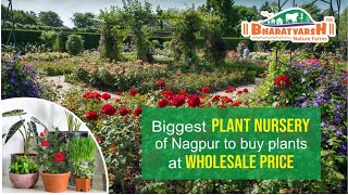 Visit biggest plant nursery of Nagpur to buy plants at wholesale price  Bharatvarsh Nursery Nagpur [upl. by Neirod]