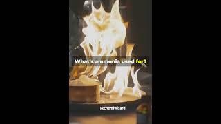 Lets know aboutThe HaberBosch Process CHEMIWIZARD⚗️ trending shorts chemistry chemiwizard [upl. by Melly]