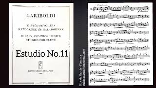 Gariboldi No11 30 Easy and progressive studies for flute [upl. by Jaela77]