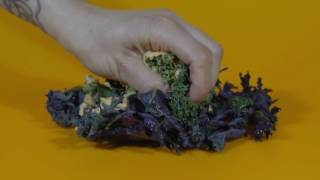 KALE CHIPS  CIBO SUPERSONICO [upl. by Otanutrof]