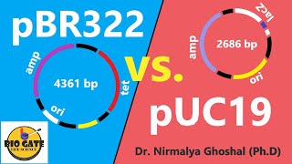 pBR322 vs pUC19 animation cloning csirnet [upl. by Kin153]