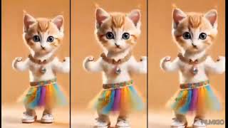 AAJ KI RAAT funny cat dance [upl. by Asylla]