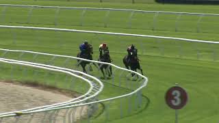 Heat 11 Doomben Jumpouts 0611 [upl. by Amabil544]