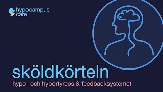 Sköldkörteln hypotyreoshypertyreos amp Feedbacksystemet [upl. by Alleinnad791]