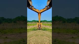 JCB TRENDING VIDEO 🔥😱🔥 jcb tractor jcbvideo [upl. by Aicilana268]