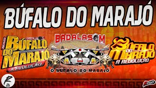 O MELHOR DO BÚFALO DO MARAJÓ TODOS OS SUCESSOS [upl. by Edniya492]