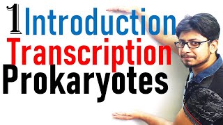 Transcription in prokaryotes introduction  Transcription lecture 1 [upl. by Dodds]