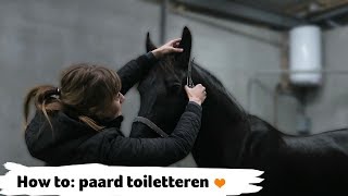 HOW TO paard toiletteren  20  Epplejeck [upl. by Inaja583]