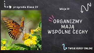 Przyroda klasa 4 Lekcja 10  Organizmy mają wspólne cechy [upl. by Benn]