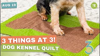 Kennel Quilts  Three Things at Three [upl. by Leopoldine6]