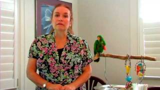 Bird Care  Can Parrots amp Parakeets Live Together [upl. by Hagi]