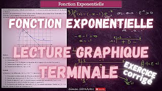 Fonction Exponentielle  Lecture Graphique  BAC Spé  Exercice Corrigé [upl. by Anthea]