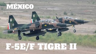 Interceptor F5E Tiger II El Caza de Combate de la Fuerza Aérea Mexicana [upl. by Ariay75]