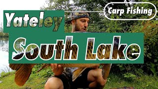 YateleySouth Lake  Carp Fishing  Big Common [upl. by Ahseram]