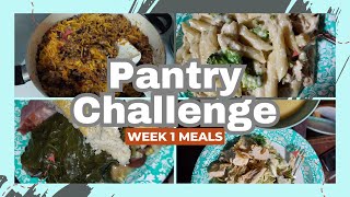 Pantry Challenge Meals Week 1 [upl. by Renferd248]