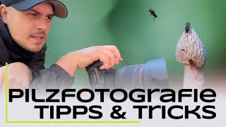 Pilzfotografie Tutorial  5 Tipps für bessere Fotos [upl. by Aschim151]