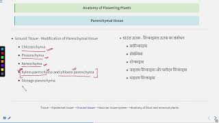 Anatomy in flowering plants Lecture 2 SATHEEMED swayamprabha medicalentranceexam [upl. by Atilol]