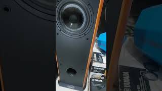 Testing Speaker AAD C600i in Country Blues Music Short [upl. by Tahp]