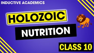 What is Holozoic Nutrition  Steps in Holozoic nutrition  What is Heterotrophic nutrition [upl. by Kus]