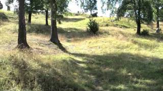 Walking among the Viking graves at Björkö [upl. by Melvyn688]