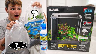 My NEW 3 GALLON AQUARIUM SETUP easy amp cheap [upl. by Petulia]