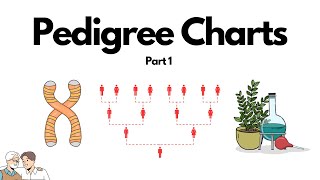 Genetics  What are Pedigree Charts  Biology  Simple Explanation  Knowledge Tavern [upl. by Annovahs552]