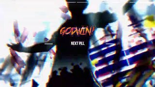 GODWIN  NEXT PILL PRODFENIKO [upl. by Lehcer627]