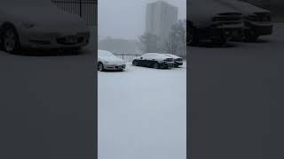 First snow 🥶 in Chicago 2024 ❄️ chicago downtownchicago snowfall trrndingshorts trending [upl. by Uttica]