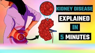 WARNING Kidney Disease Mistakes That Could Cost You Your Health [upl. by Shela245]