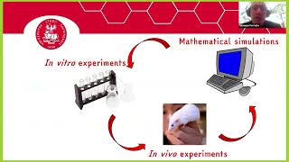 An MRICEST Method for the Detection of Water Cycling across Cellular Membranes [upl. by Sternberg644]