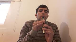 quotSkibbereenquot on irish tin whistle [upl. by Anaejer]