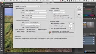 05 Photoshop Essential Customizing Color Settings  Adobe Photoshop Tutorials [upl. by Aphra335]