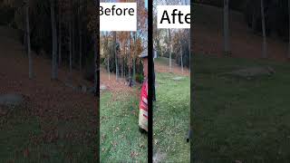 Before and after of raking leaves [upl. by Anaul417]