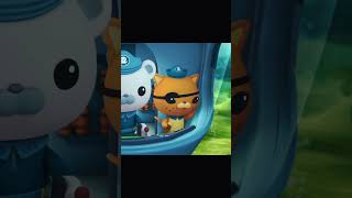 Kwazii’s for the streets🧡 octonauts kwazii edit [upl. by Dira]