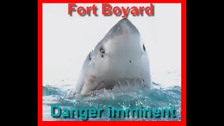 Fort Boyard OUPS quotSpécial Requin Blancquot 2024 [upl. by Faith843]