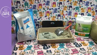 Paws Happy Life vs Boxiecat Cat Litter Review [upl. by Gaskin]