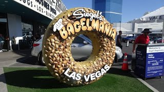 An HONEST Review of Siegels Bagelmania  The Popular Deli amp Bagel Diner in Las Vegas  9142024 [upl. by Annasus]