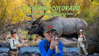 Fly Fishing Colorado while avoid getting gored by bull elks [upl. by Fionna]