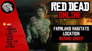 RDR2 Online  Merino Sheep Location  Farmland Habitats [upl. by Antone]