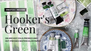 Hookers Green Watercolor featuring Daniel Smith Michael Harding Sennelier MaimeriBlu etc [upl. by Woods]