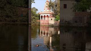 Ghatiya swarg lage Pawan singh song chhath puja racernavneet chhathpuja shortsfeed [upl. by Carita]