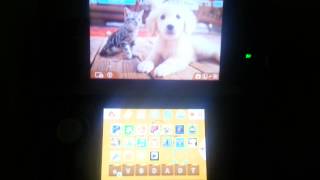 Nintendogs  Cats 3DS Golden Retriever Theme [upl. by Yrffej]